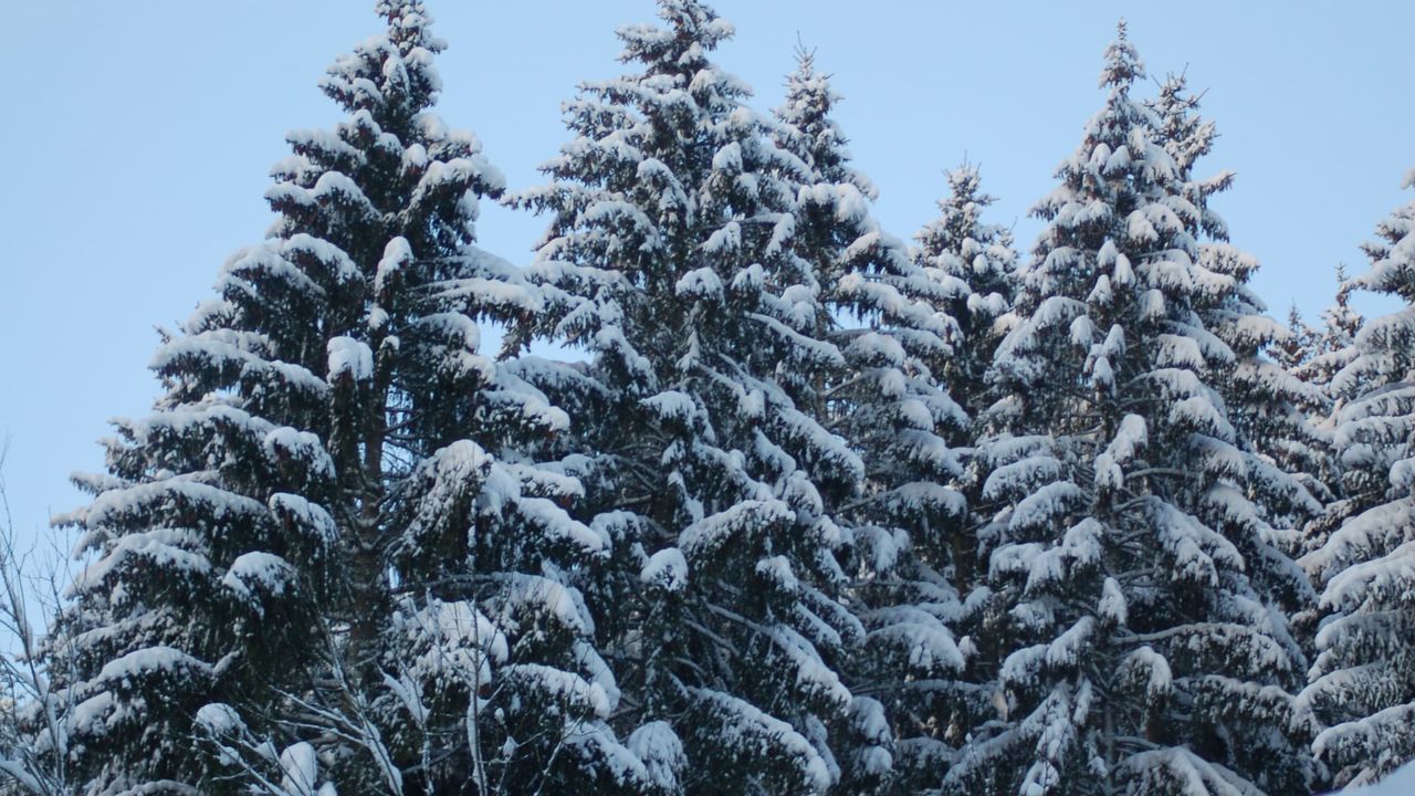 AreaWinter5KM AreaWinter5KM